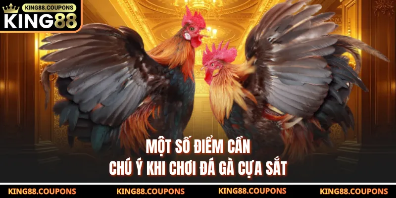 Một số điểm cần chú ý khi chơi đá gà cựa sắt