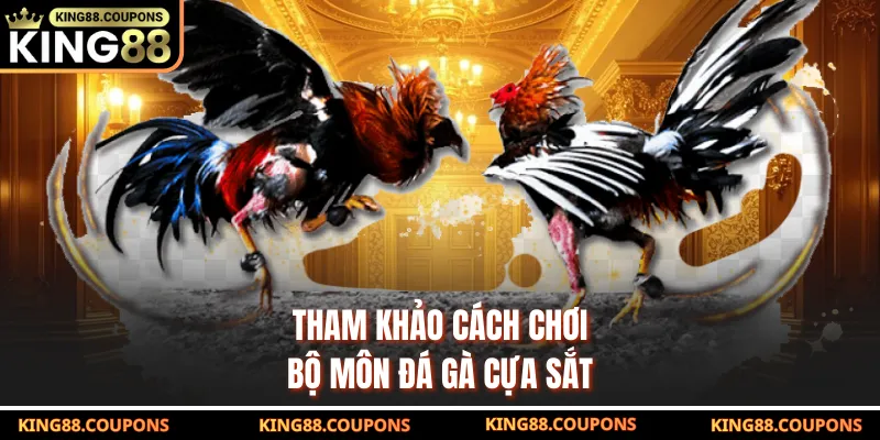 Tham khảo cách chơi bộ môn đá gà cựa sắt